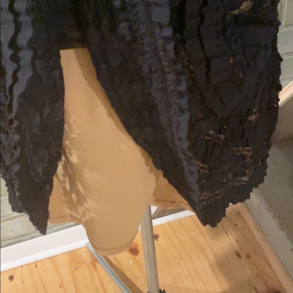 Max Studio Cream and Black Lace Dress - Picture 6 of 7